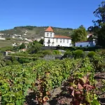 Casa Torres De Oliveira Mesão Frio