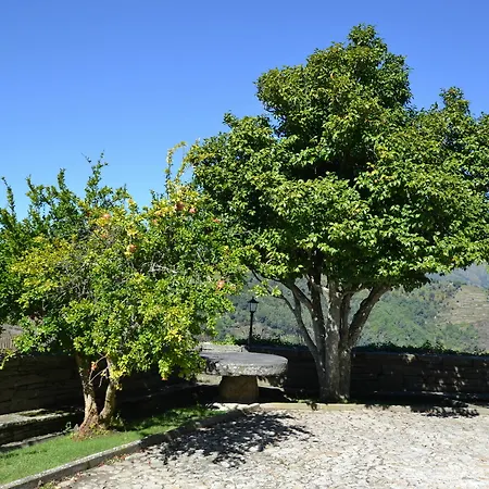 Casa Torres De Oliveira Frühstückspension