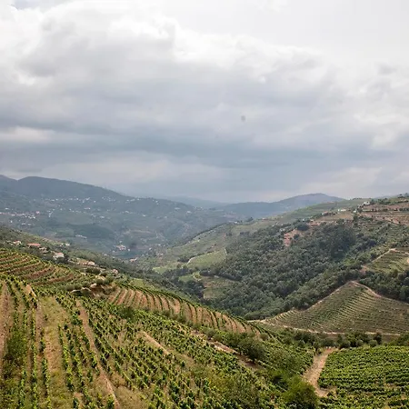 Bed & Breakfast Casa Torres De Oliveira Mesao Frio