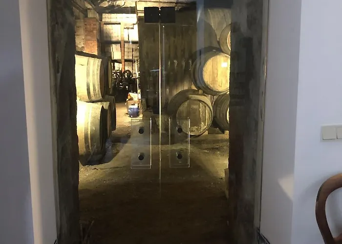 Casa Torres De Oliveira Mesão Frio