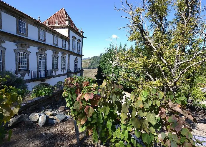 Casa Torres De Oliveira Bed & Breakfast Mesão Frio