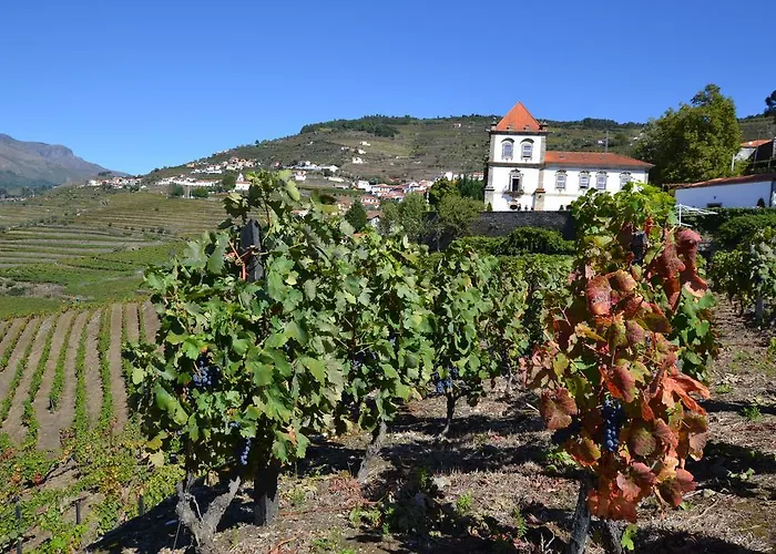 Casa Torres De Oliveira