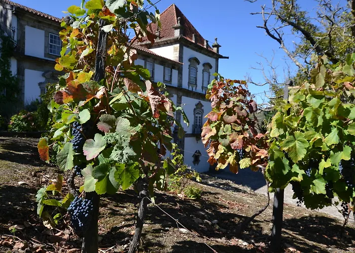 Casa Torres De Oliveira Bed & Breakfast 3*