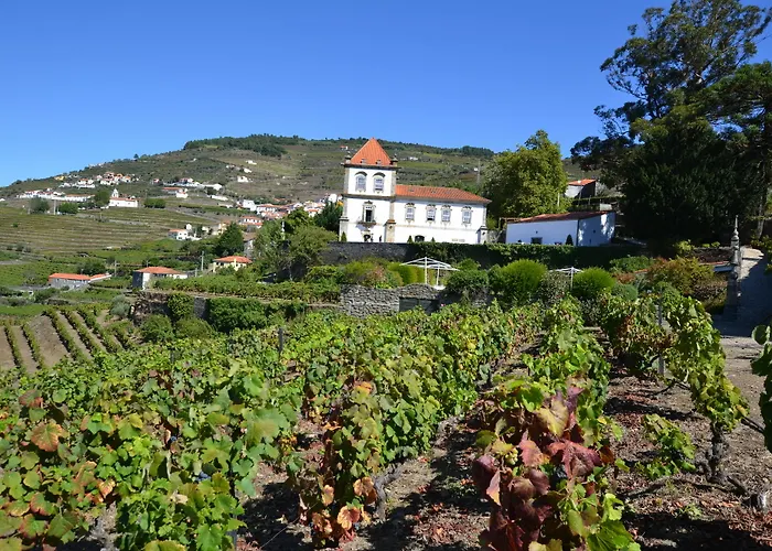 Casa Torres De Oliveira Mesão Frio