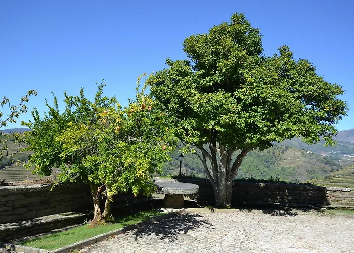 Casa Torres De Oliveira Bed & Breakfast