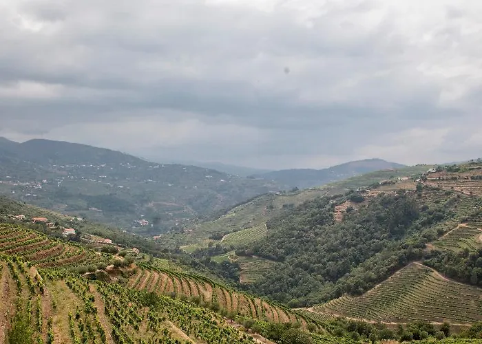 Bed & Breakfast Casa Torres De Oliveira Mesão Frio